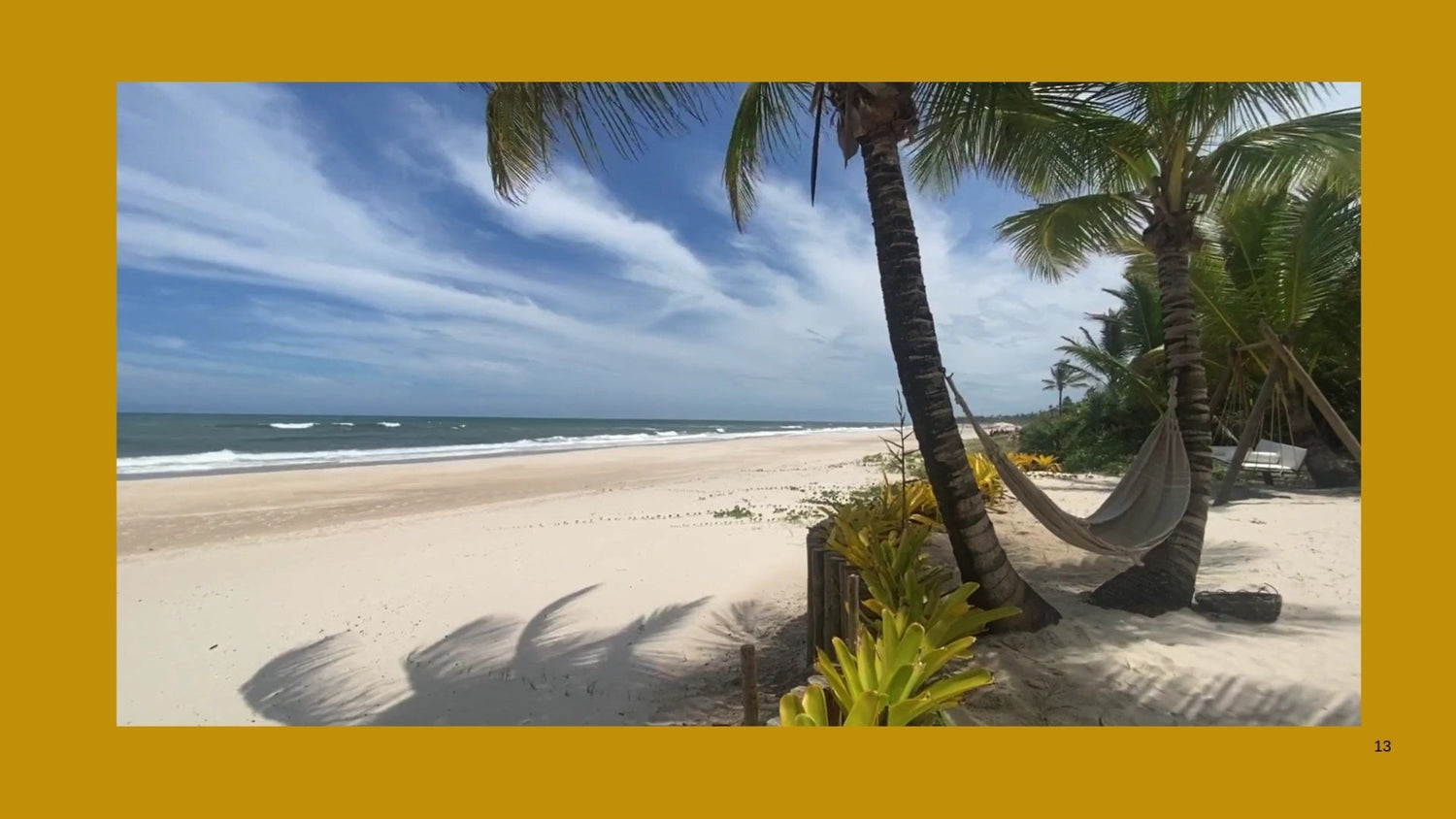 A Taste of Jamaica Sounds of Nature Instrumental SphereEternal