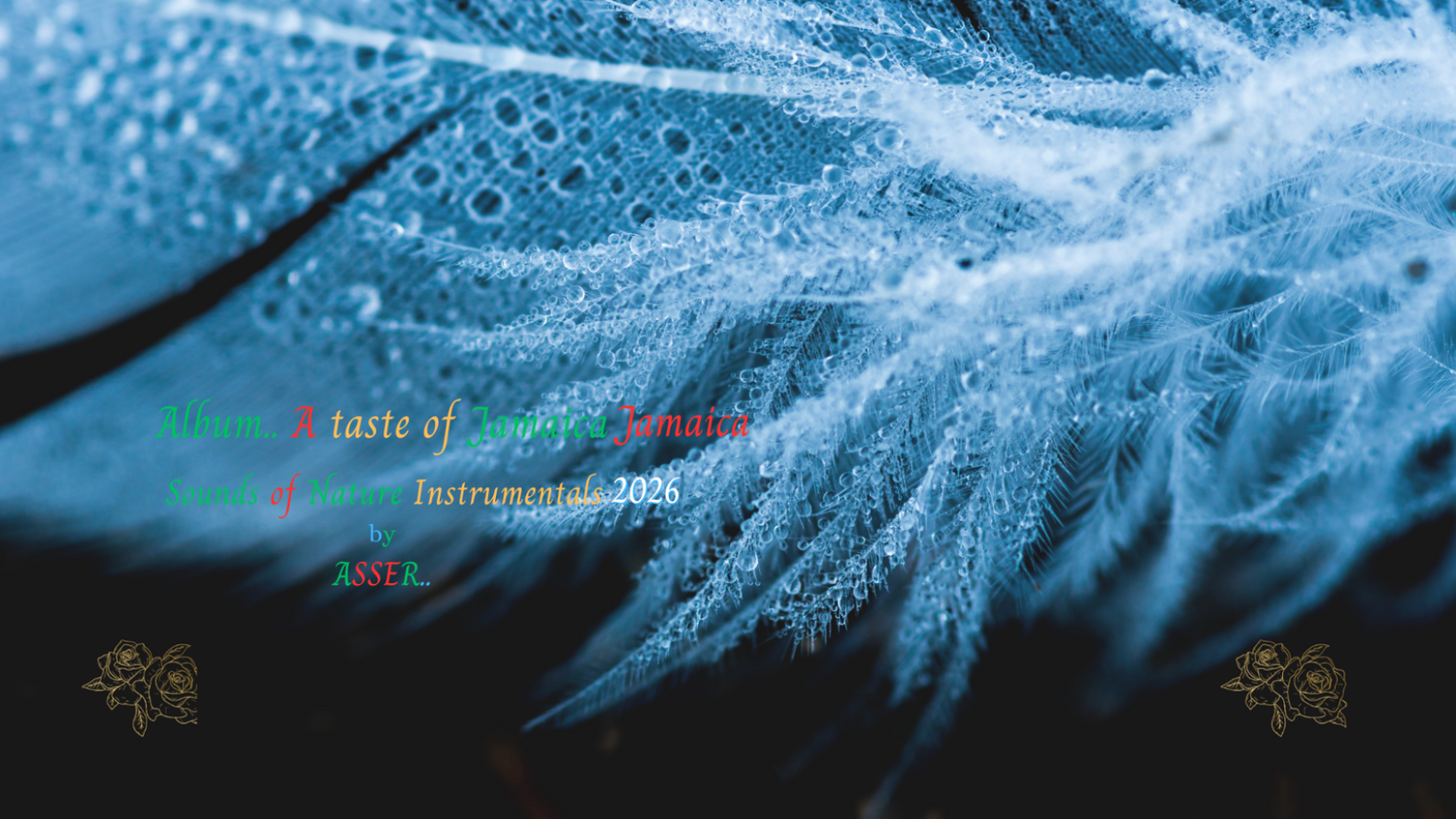 Album A taste of Jamaica Sounds of Nature Instrumentals 2026
7 Track album titles: 
1. SphereEternal 2. Heights 3. Celestial  
4. Rise Again 5. Distance 6. Uplifted 
7. Bonus track: ASSER Official Soundtrack