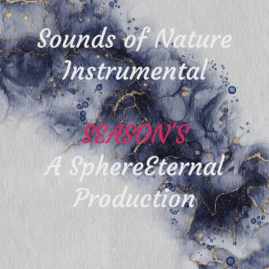 Instrumental with some piano synth percussion and is the 1st version followed on by Season's Remix other title is Season's change 