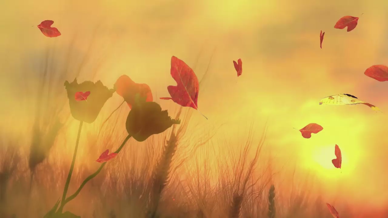 This instrumental can heighten varied creative ideas and thought to the listener  Create your creative space. 