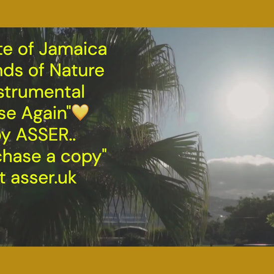 A taste of Jamaica Sounds of Nature Instrumental has been composed inspired in support of the people in the communities of the Caribbean Island Jamaica that have been affected by the 2025 Hurricane Melissa.. 