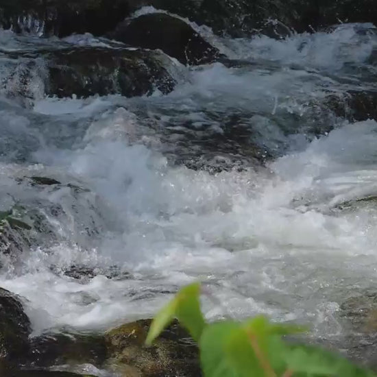 This instrumental visualises cleansing and rejuvenation and encouragement on your path.